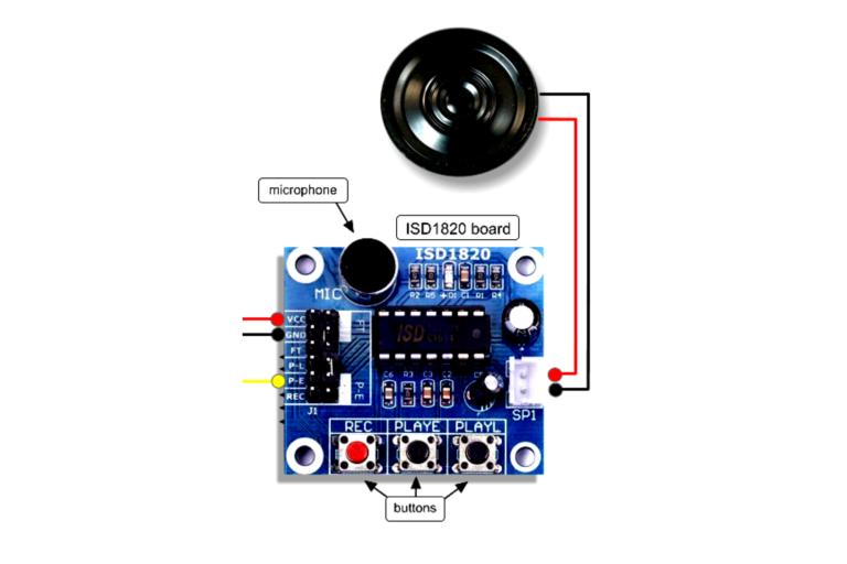 Sound playback module